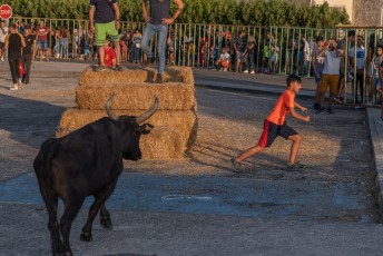 Beaucaire - Fete Garrigues Planes 2019 (233)