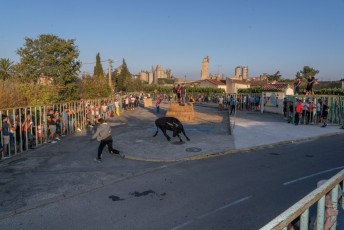 Beaucaire - Fete Garrigues Planes 2019 (235)