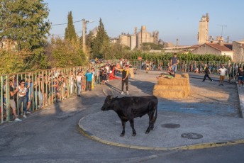 Beaucaire - Fete Garrigues Planes 2019 (236)