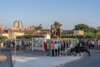 Beaucaire - Fete Garrigues Planes 2019 (237)