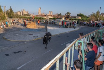 Beaucaire - Fete Garrigues Planes 2019 (238)