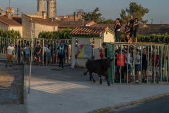Beaucaire - Fete Garrigues Planes 2019 (239)