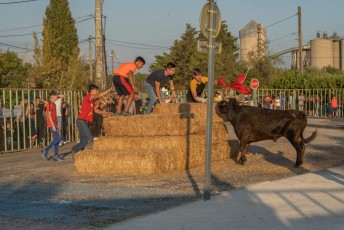Beaucaire - Fete Garrigues Planes 2019 (242)