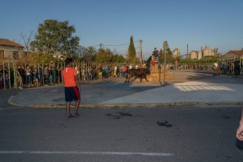Beaucaire - Fete Garrigues Planes 2019 (243)