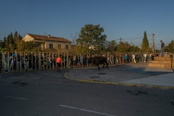 Beaucaire - Fete Garrigues Planes 2019 (245)