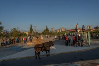 Beaucaire - Fete Garrigues Planes 2019 (246)