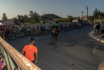 Beaucaire - Fete Garrigues Planes 2019 (249)