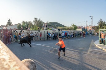 Beaucaire - Fete Garrigues Planes 2019 (252)