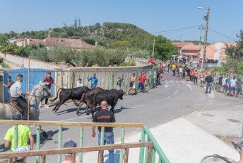 Beaucaire - Fete Garrigues Planes 2019 (28)