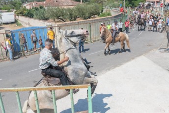 Beaucaire - Fete Garrigues Planes 2019 (31)