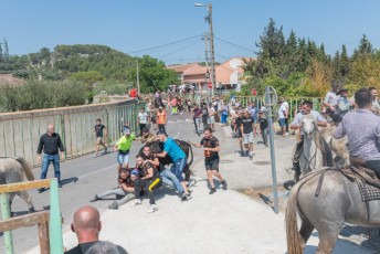 Beaucaire - Fete Garrigues Planes 2019 (32)