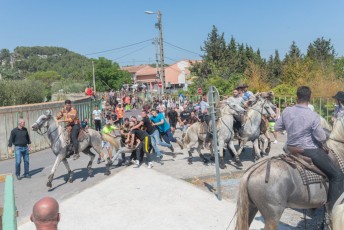 Beaucaire - Fete Garrigues Planes 2019 (33)