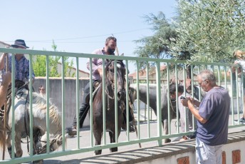 Beaucaire - Fete Garrigues Planes 2019 (40)