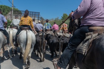 Beaucaire - Fete Garrigues Planes 2019 (44)