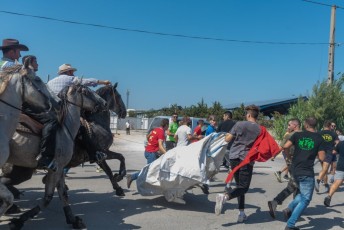 Beaucaire - Fete Garrigues Planes 2019 (46)