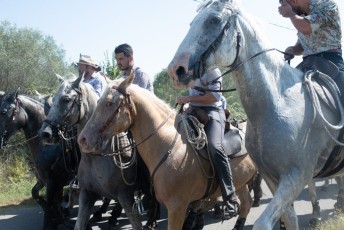 Beaucaire - Fete Garrigues Planes 2019 (50)