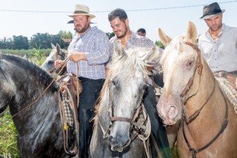 Beaucaire - Fete Garrigues Planes 2019 (62)