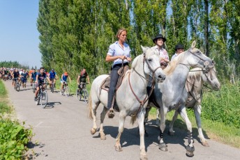 Beaucaire - Fete Garrigues Planes 2019 (65)