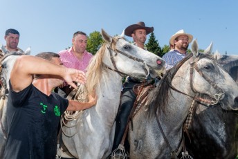 Beaucaire - Fete Garrigues Planes 2019 (74)