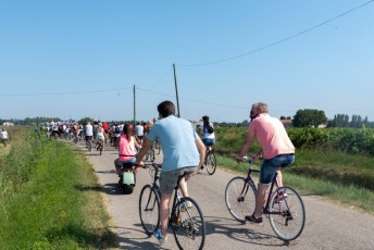 Beaucaire - Fete Garrigues Planes 2019 (84)