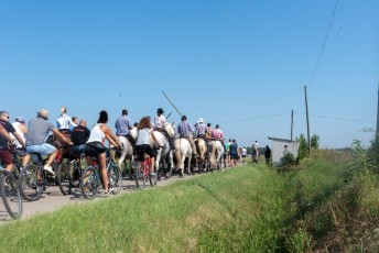 Beaucaire - Fete Garrigues Planes 2019 (85)