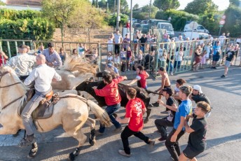 Beaucaire - Fete Garrigues Planes 2019 (86)