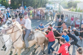 Beaucaire - Fete Garrigues Planes 2019 (87)