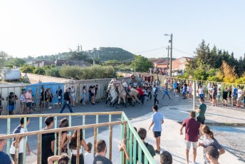 Beaucaire - Fete Garrigues Planes 2019 (88)