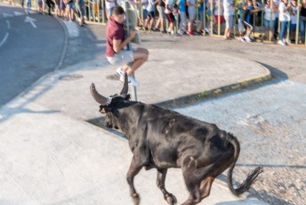 Beaucaire - Fete Garrigues Planes 2019 (90)