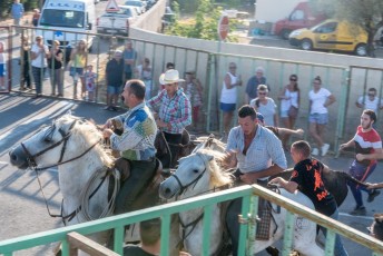 Beaucaire - Fete Garrigues Planes 2019 (91)