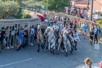 Beaucaire - Fete Garrigues Planes 2019 (93)