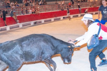 Toro piscine Beaucaire 10-08-2019 (15)