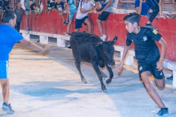 Toro piscine Beaucaire 10-08-2019 (16)