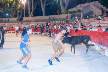 Toro piscine Beaucaire 10-08-2019 (17)