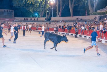 Toro piscine Beaucaire 10-08-2019 (18)