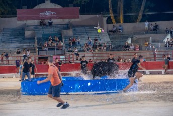 Toro piscine Beaucaire 10-08-2019 (27)