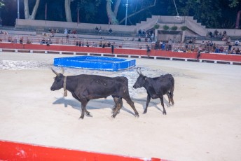 Toro piscine Beaucaire 10-08-2019 (3)