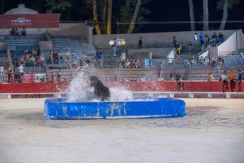 Toro piscine Beaucaire 10-08-2019 (33)