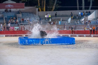 Toro piscine Beaucaire 10-08-2019 (34)