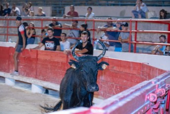 Toro piscine Beaucaire 10-08-2019 (36)