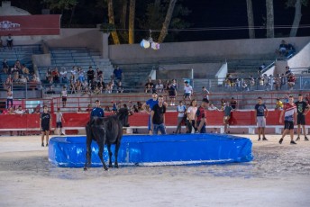 Toro piscine Beaucaire 10-08-2019 (38)