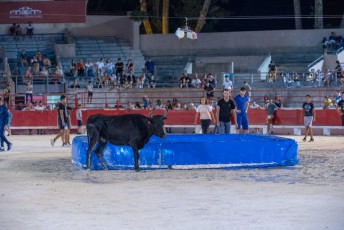 Toro piscine Beaucaire 10-08-2019 (39)