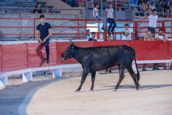 Toro piscine Beaucaire 10-08-2019 (41)