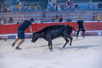 Toro piscine Beaucaire 10-08-2019 (43)