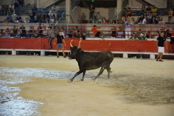 toro piscine beaucaire (25)