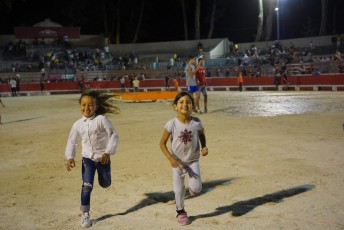 toro piscine beaucaire (31)