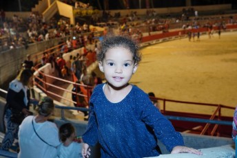 toro piscine beaucaire (34)