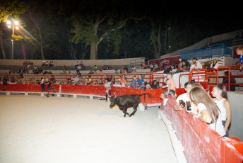 toro piscine beaucaire (55)