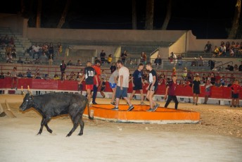 toro piscine beaucaire (58)