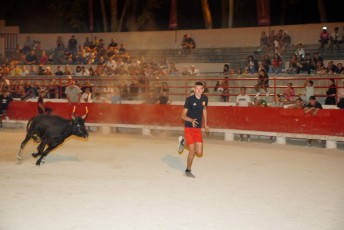 toro piscine beaucaire (59)